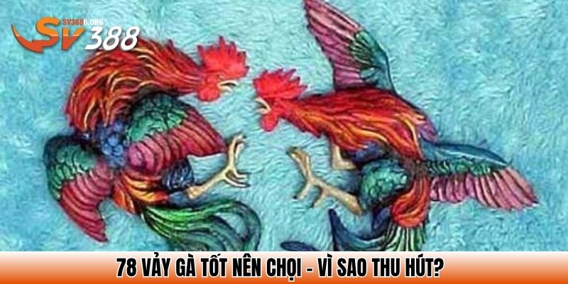 78 vảy gà tốt nên chọi - Vì sao thu hút?