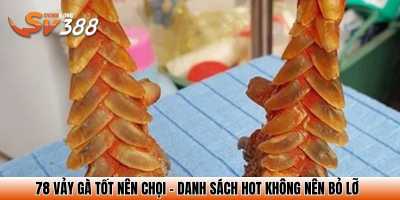 78 vay ga tot nen choi