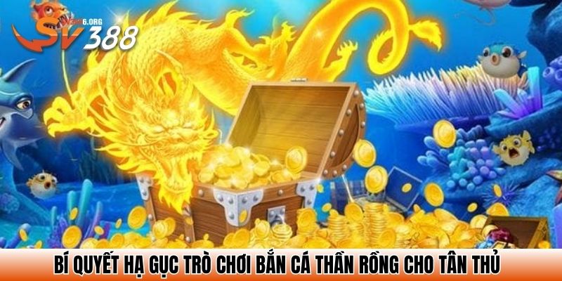 Bắn Cá Thần Rồng SV388 – Truy Tìm Kho Báu Đại Dương Sôi Động 4 Bí quyết hạ gục trò chơi bắn cá thần rồng cho tân thủ