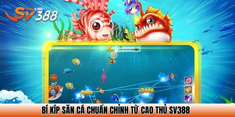 Bí kíp săn cá chuẩn chỉnh từ cao thủ SV388