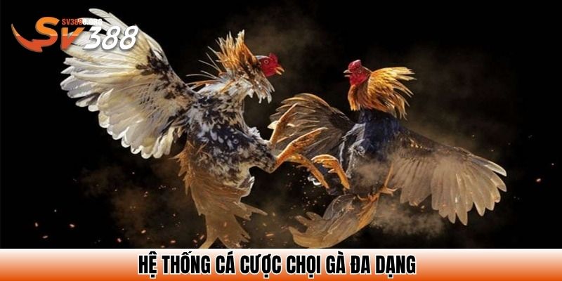 Đá Gà Casino - Hình Thức Cá Cược Vô Cùng Hấp Dẫn Hiện Nay 3 Hệ thống cá cược chọi gà đa dạng