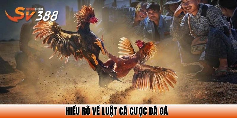 Đá Gà Casino - Hình Thức Cá Cược Vô Cùng Hấp Dẫn Hiện Nay 4 Hiểu rõ về luật cá cược đá gà