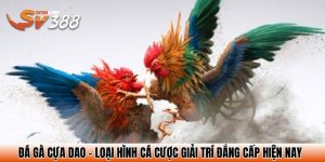 da ga cua dao