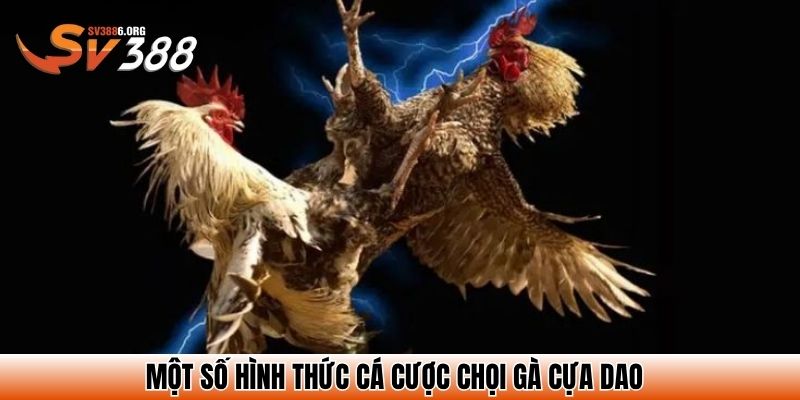 Một số hình thức cá cược chọi gà cựa dao