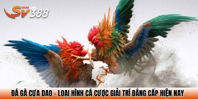 da ga cua dao