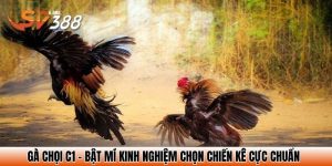 ga choi c1