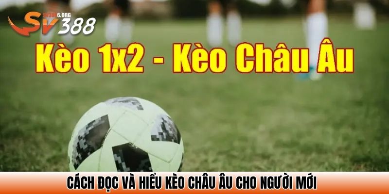 Kèo Bóng Đá Châu Âu - Cách Đọc Dễ Hiểu, Mẹo Chơi Dễ Thắng 3 Cách đọc và hiểu kèo châu Âu cho người mới