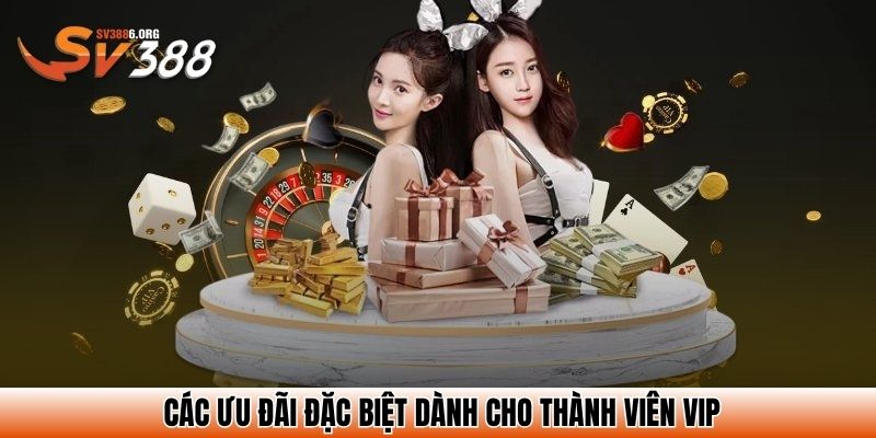 Các ưu đãi đặc biệt dành cho thành viên VIP