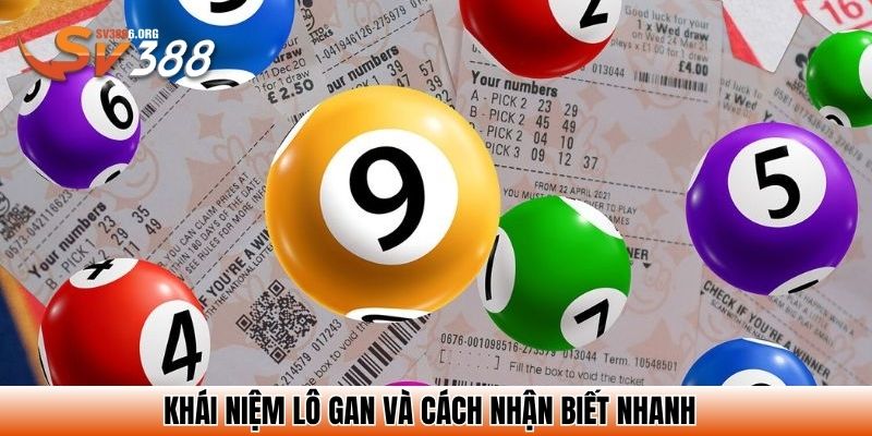Khái niệm lô gan và cách nhận biết nhanh
