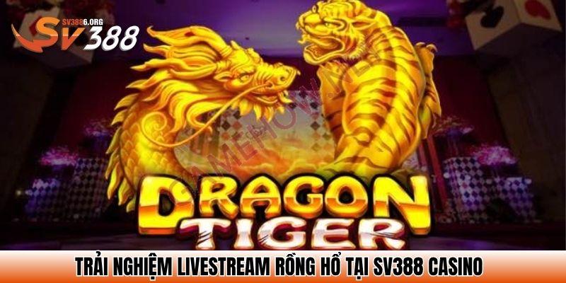 Rồng hổ SV388 - Top 4 Bí Kíp Đặt Đâu Thắng Đó Từ Cao Thủ 2 Trải nghiệm livestream Rồng hổ tại SV388 casino