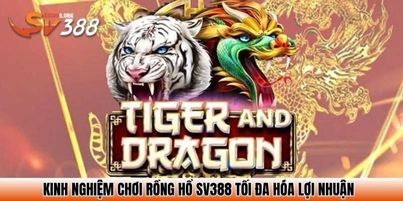 Rồng hổ SV388 - Top 4 Bí Kíp Đặt Đâu Thắng Đó Từ Cao Thủ 4 Kinh nghiệm chơi Rồng hổ SV388 tối đa hóa lợi nhuận