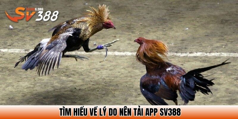 Tìm hiểu về lý do nên tải app SV388
