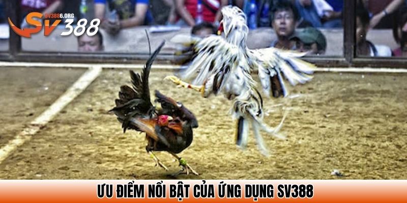 Ưu điểm nổi bật của ứng dụng SV388