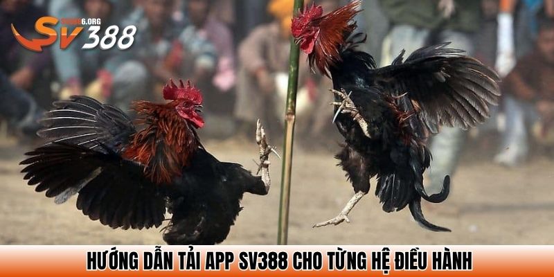 Hướng dẫn tải app SV388 cho từng hệ điều hành