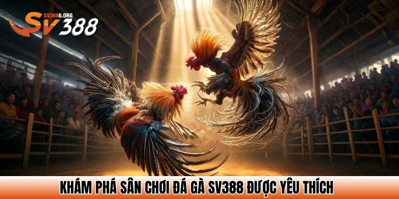 Trang Chủ SV388 - Link Đăng Ký Đăng Nhập 2025 - Nhà Cái Đá Gà Đẳng Cấp 24 Khám phá sân chơi đá gà SV388 được yêu thích