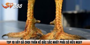 vay ga choi than ke